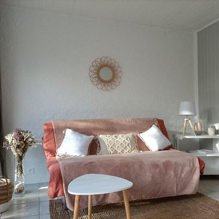 Charmant Appartement Bord De Mer Argeles-sur-Mer Ngoại thất bức ảnh